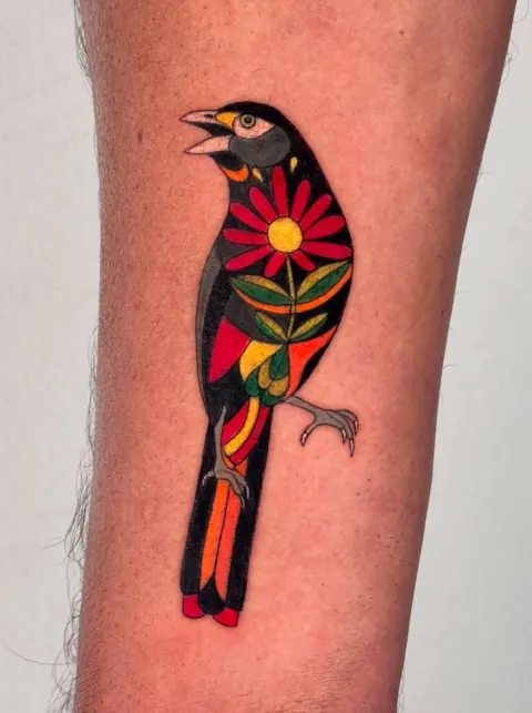 Cacique candela a color, de la serie Aves de Colombia